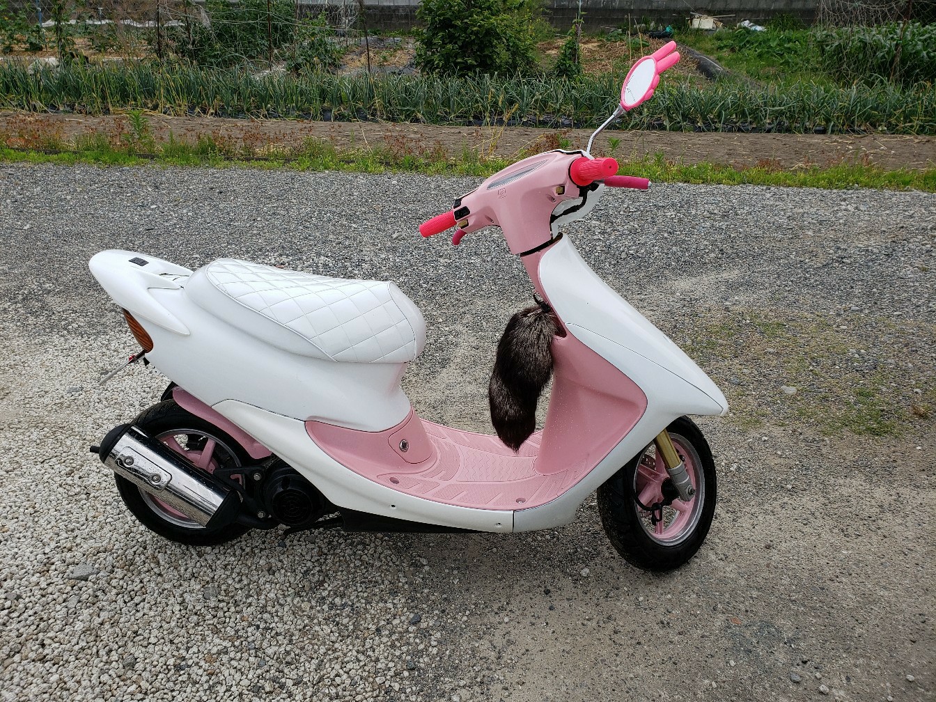 けんけんの家さんのDio AF35ZX