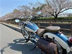 ヤマハ ドラッグスター250