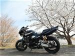 ヤマハ XJR1300