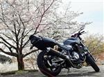 ヤマハ XJR1300
