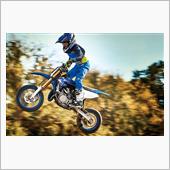 ごじゃ男さんのYZ65