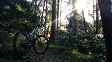 LainさんのKONA_PROCESS153