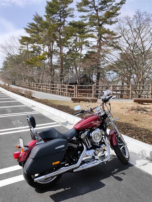 hiro4remusさんのXL1200T