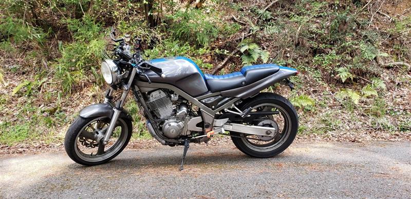 野良の熊さんのSRX400