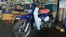 benissimoさんのC125