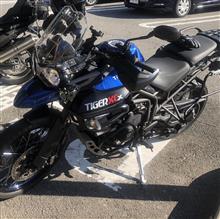 akiranmaruさんのTiger800XCx