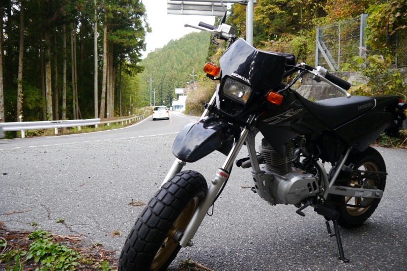 ざきんぐ!さんのXR50モタード