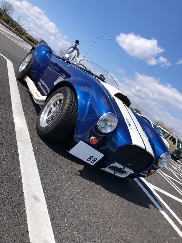 べあぶりっくさんのコブラ