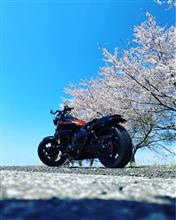 bphiroさんのエリミネーター250V メイン画像