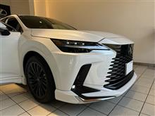 もんち＋さんのRX PHEV 左サイド画像