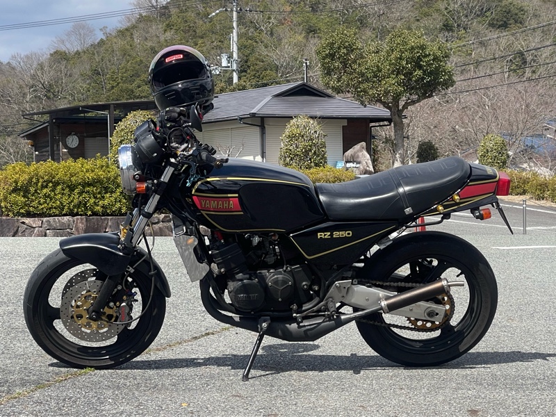 メタルマニアックさんのRZ250