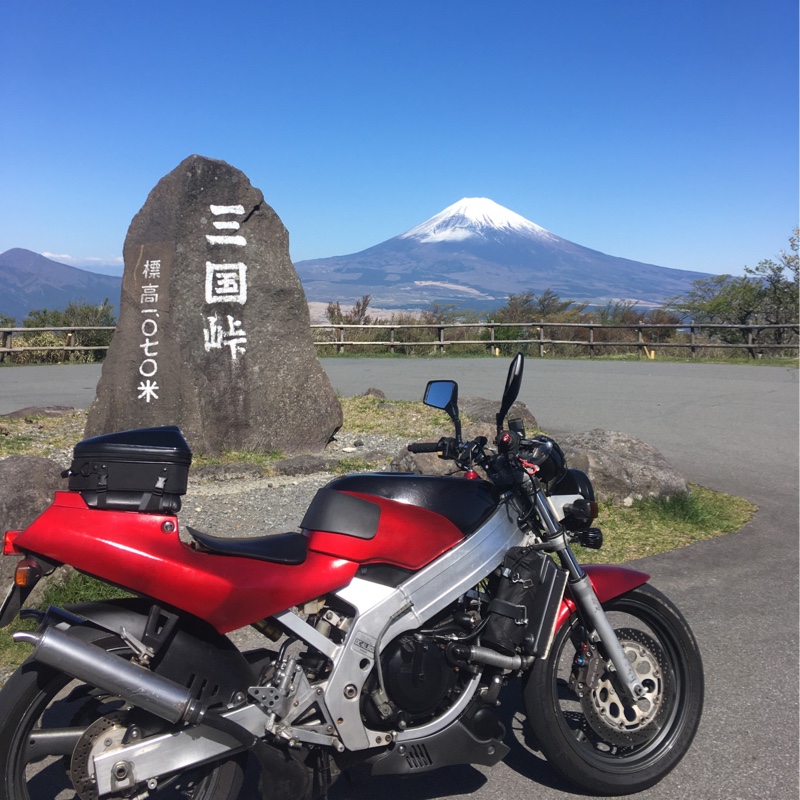 spider!さんのウルフ250
