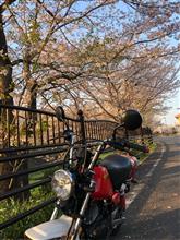 OsamuGPzさんのポッケ リア画像