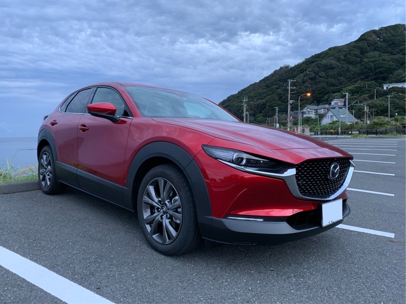 だに~さんのCX-30 ハイブリッド
