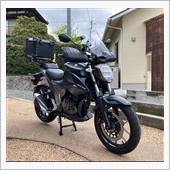 Flat IslandさんのGIXXER250