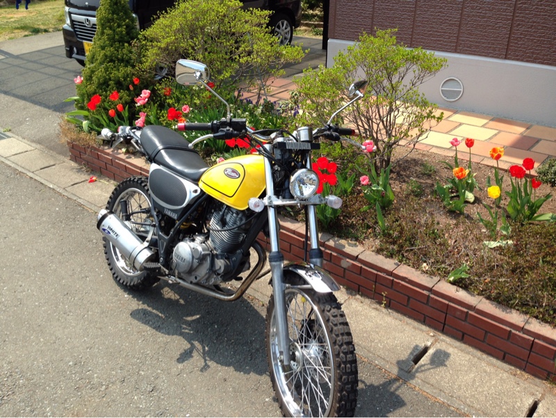 toshi_ktさんのBRONCO