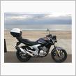 白玉(・ω・)のYBR250