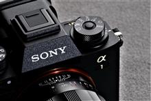 yosi＆mikanさんのSONY-alpha