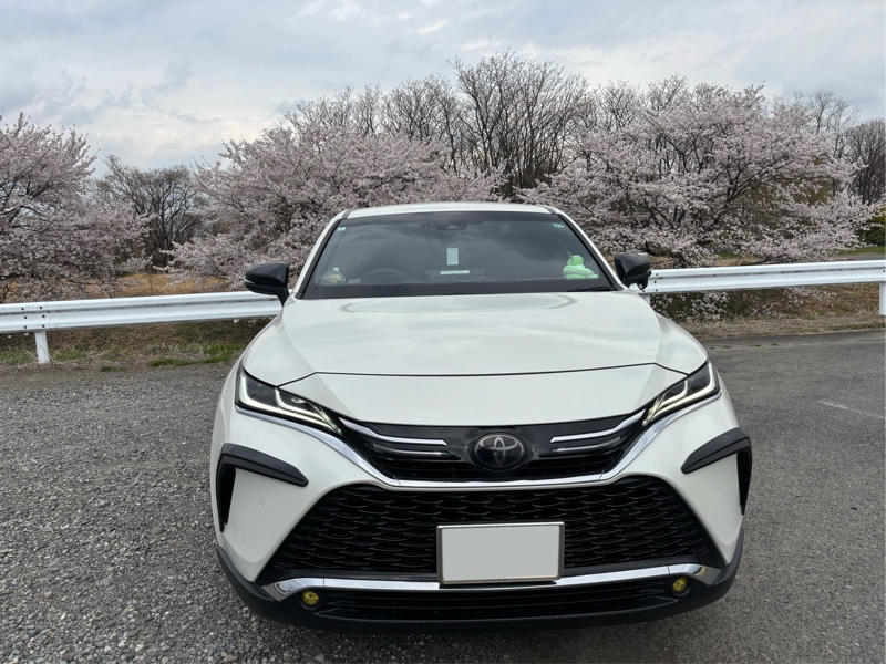 にゃぽたんさんのハリアー