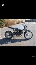 ヤマハ TW200E