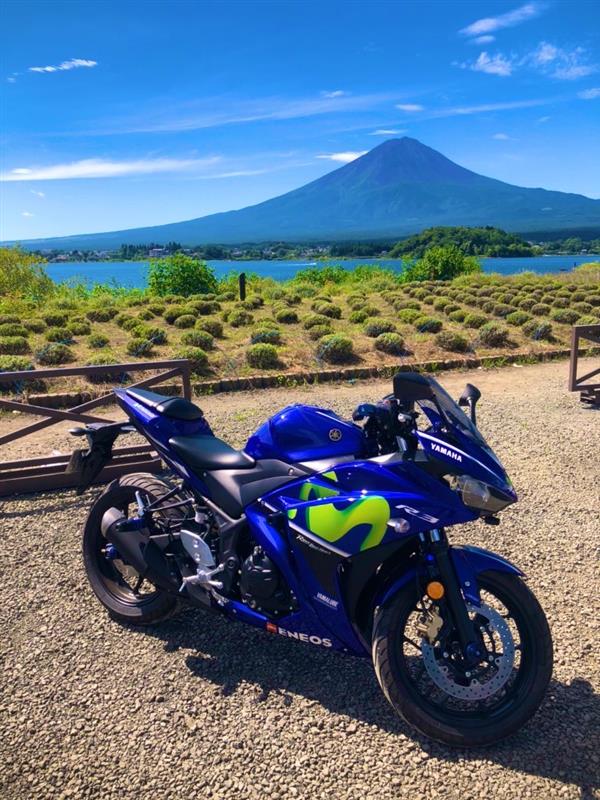 wvd********さんのワイゼット250エフ