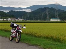 雨おとこさんのセロー250ファイナルエディション 左サイド画像