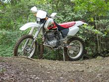 kimsyoさんのXR400R