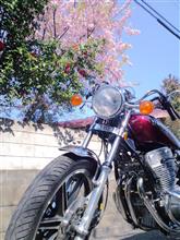 keico3spさんのXS750