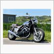 RINKICHIのVmax1200