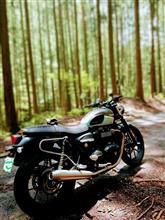 リノさんさんのSTREET_TWIN