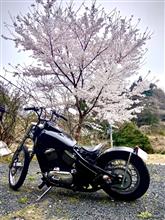 オゲのソアラさんのbarukann400n