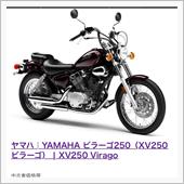 パンサー4さんのビラーゴ250