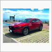 yukijirouのCX-30 ハイブリッド