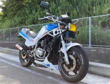 y31sho0999さんのGF-250S