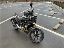 丸目太郎さんのスヴァルトピレン250 メイン画像