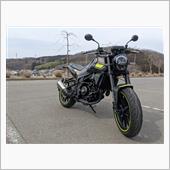 TOMO蔵さんのレオンチーノ250