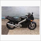 TUBESTさんのZZR250