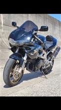 ピンジーさんのTL1000S