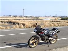 VionysさんのNS50F 左サイド画像