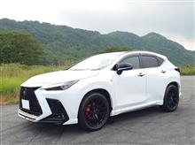えるたんさんの愛車：レクサス NX