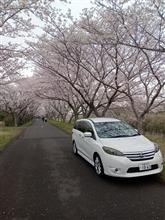 田中レーシングさんのラフェスタ ハイウェイスター インテリア画像