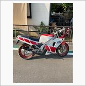 トップレビンさんのTZ250