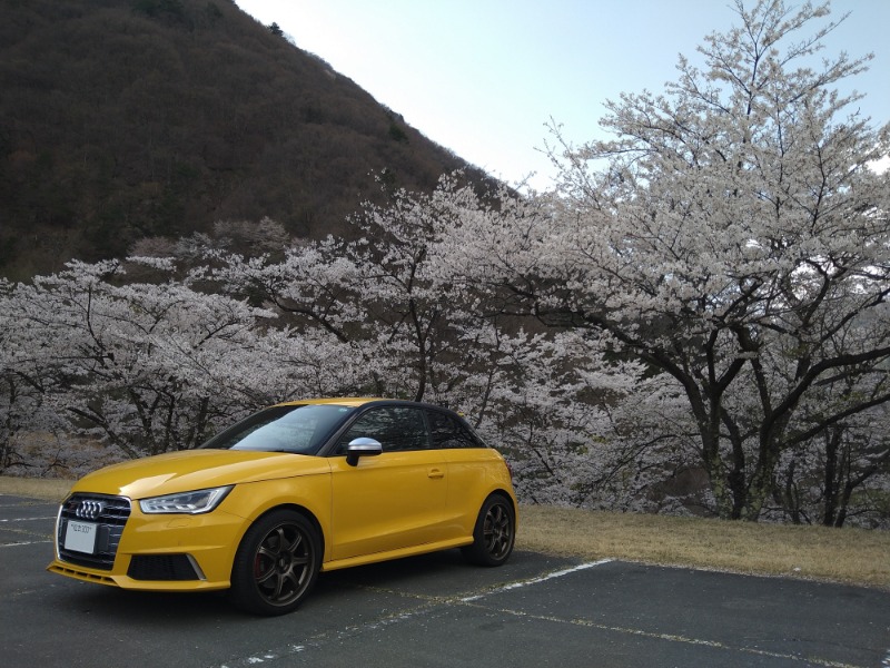 アウディ S1