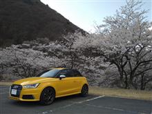 設備屋GogogoさんのS1