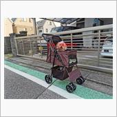 麦わら３９さんのファントム