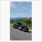 883のぱぱさんさんのXL883C