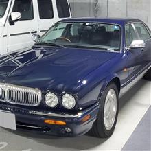 あおもじさんのDAIMLER