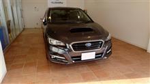 TypeZEROさんのLEVORG