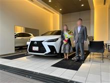 エコメロンさんのNX_HYBRID
