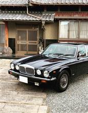 DY@daimlerさんのDAIMLER